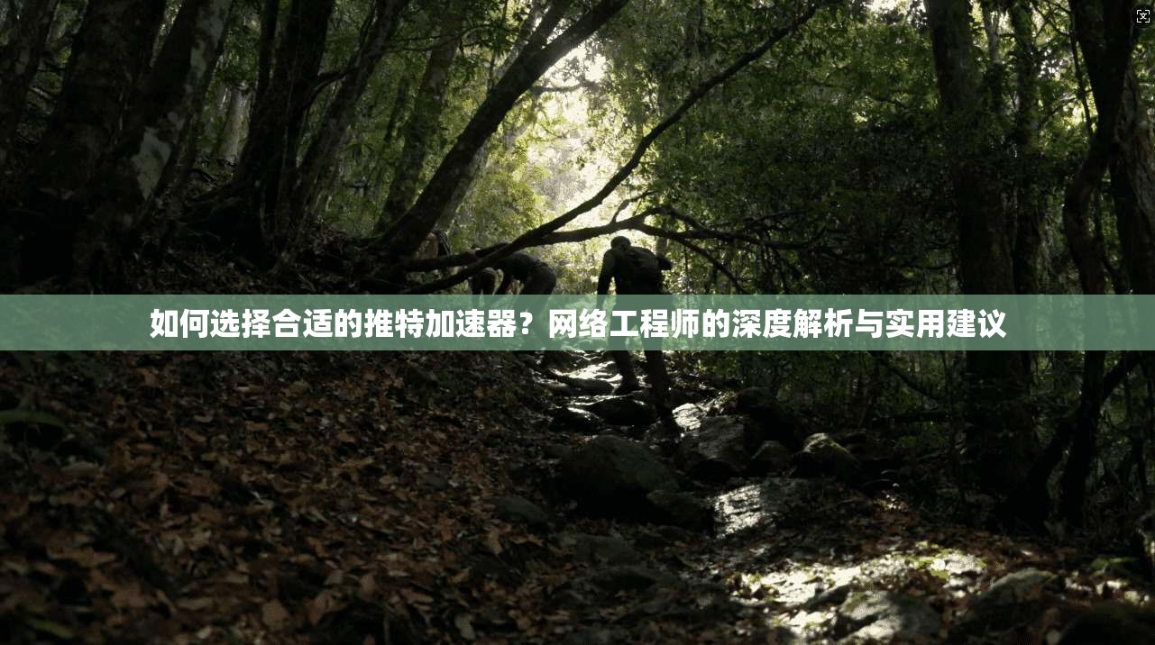 如何选择合适的推特加速器？网络工程师的深度解析与实用建议
