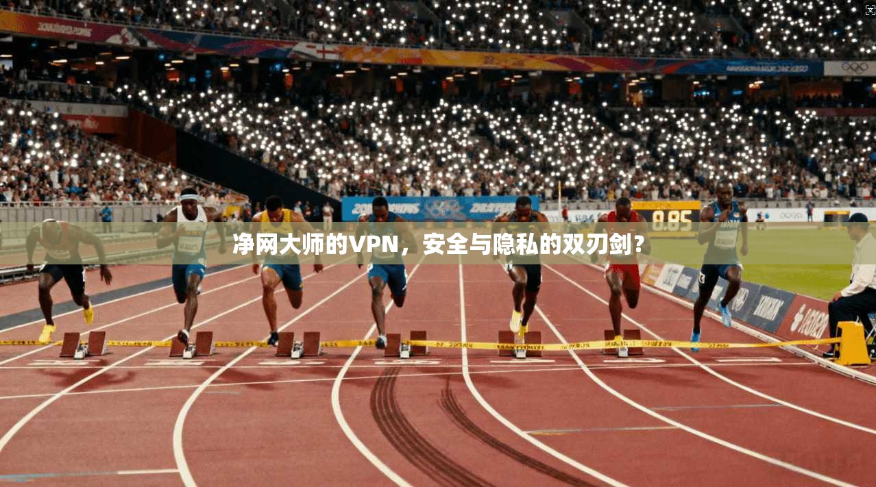 净网大师的VPN，安全与隐私的双刃剑？