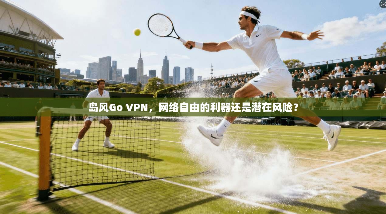 岛风Go VPN，网络自由的利器还是潜在风险？