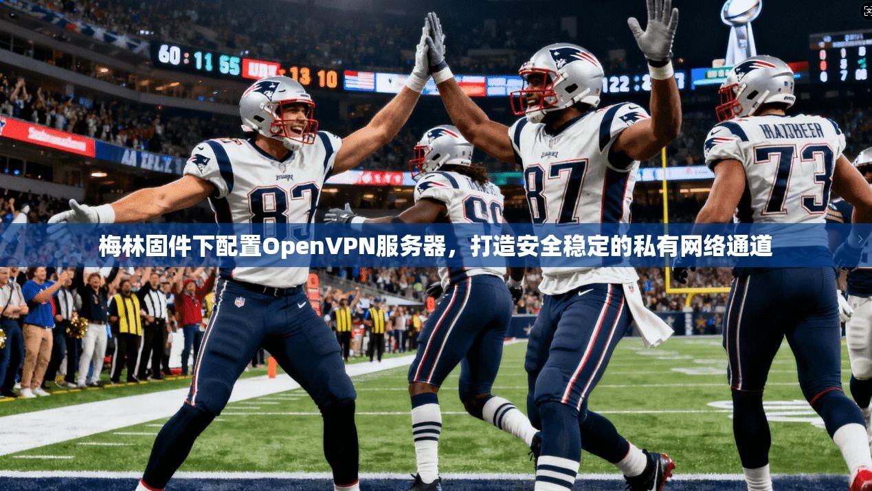 梅林固件下配置OpenVPN服务器，打造安全稳定的私有网络通道