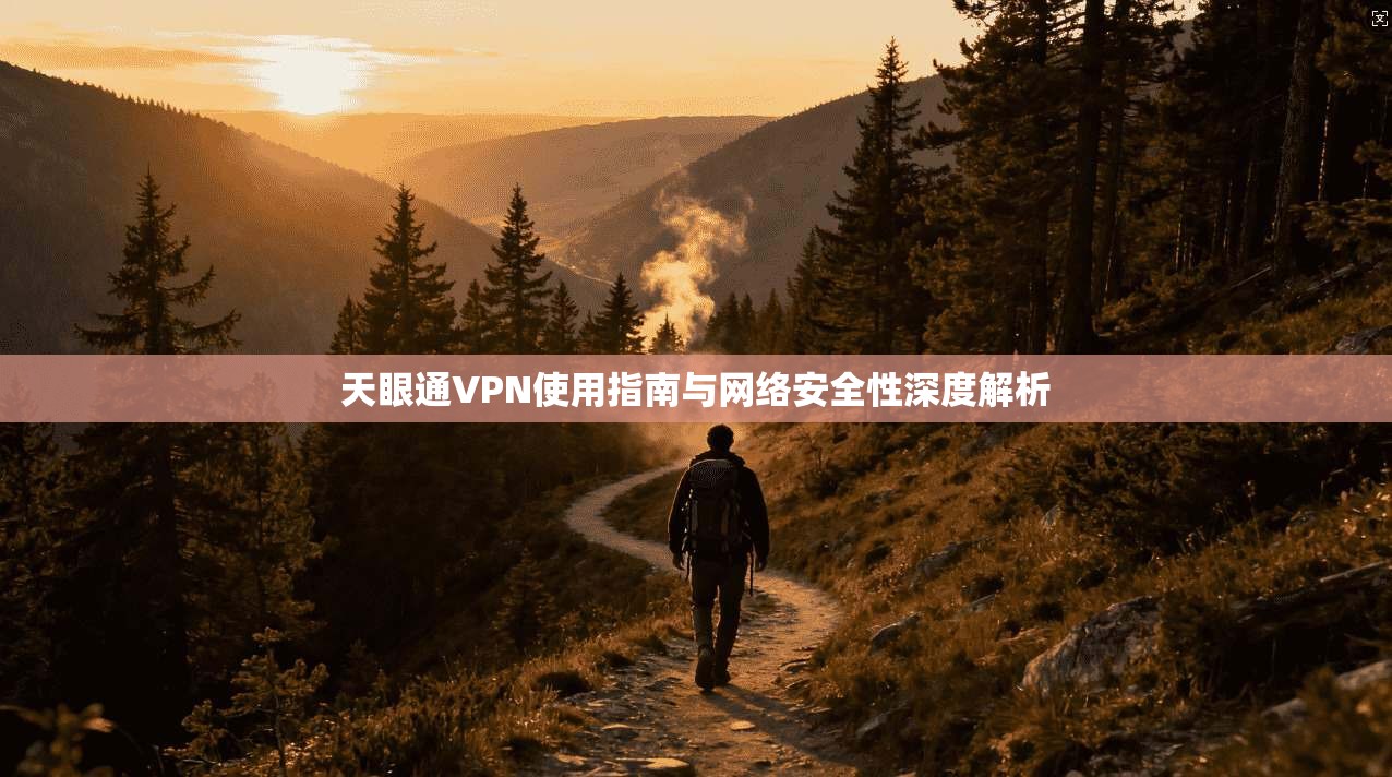 天眼通VPN使用指南与网络安全性深度解析