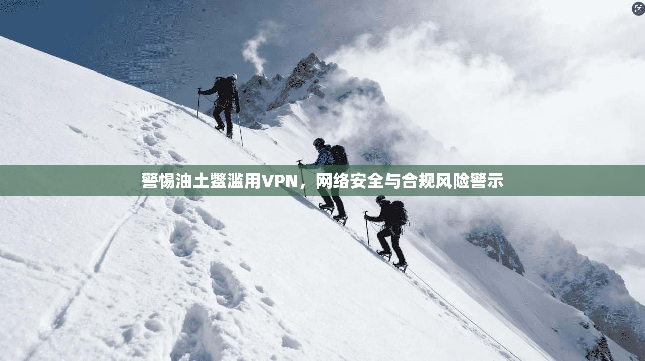 警惕油土鳖滥用VPN，网络安全与合规风险警示