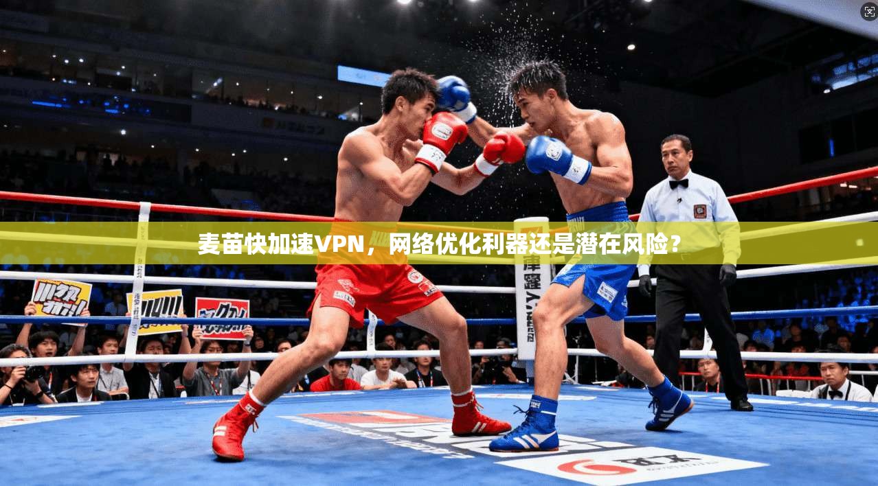麦苗快加速VPN，网络优化利器还是潜在风险？