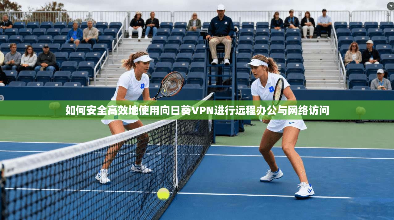 如何安全高效地使用向日葵VPN进行远程办公与网络访问