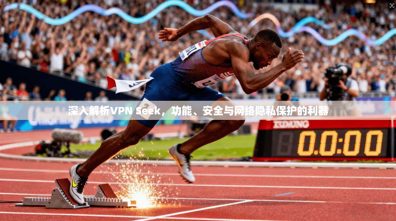 深入解析VPN Seek，功能、安全与网络隐私保护的利器