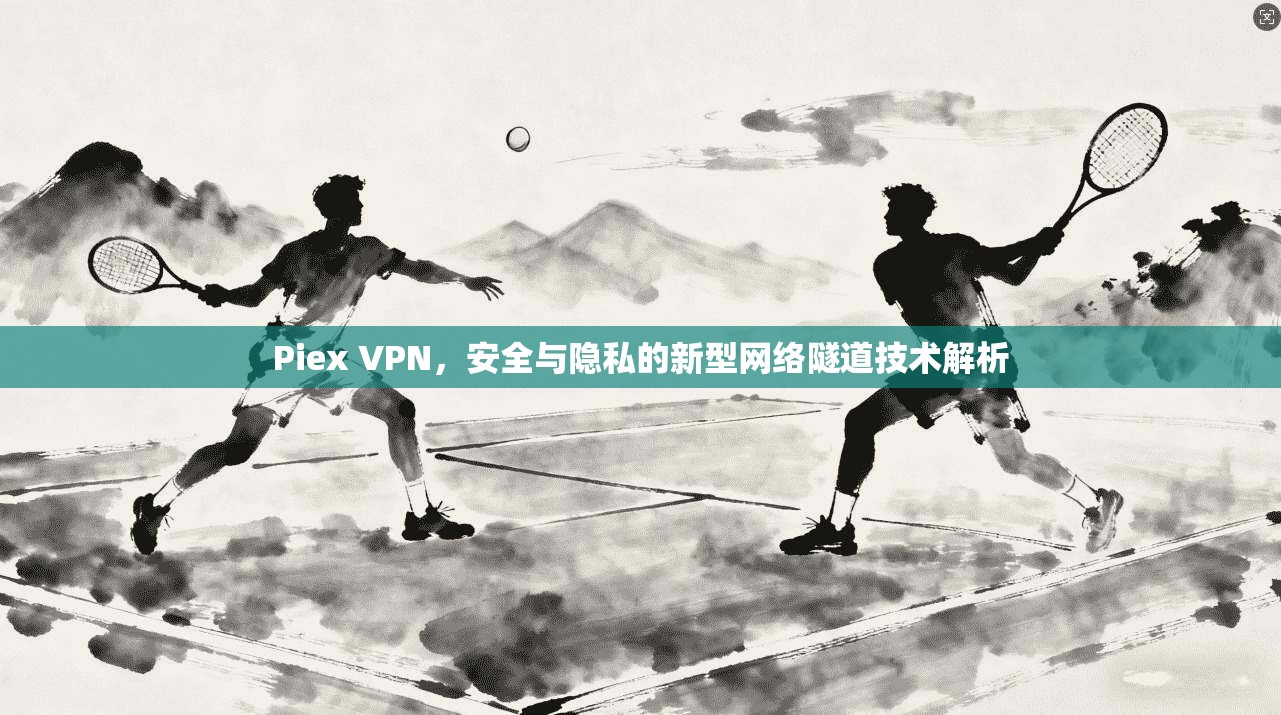 Piex VPN，安全与隐私的新型网络隧道技术解析