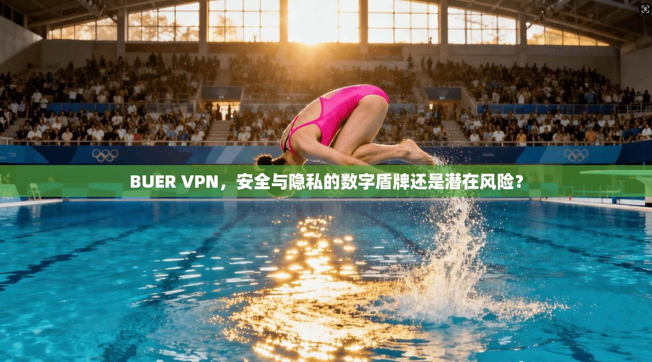 BUER VPN，安全与隐私的数字盾牌还是潜在风险？