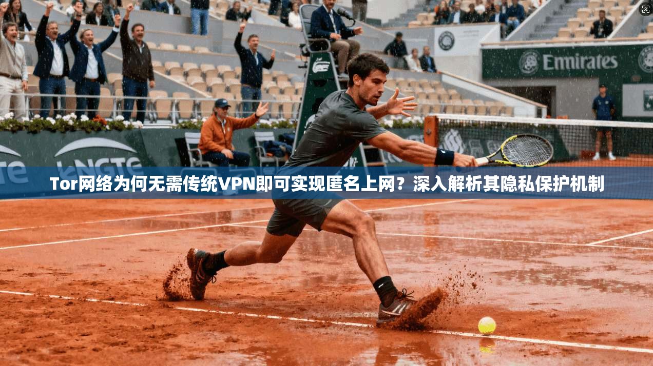 Tor网络为何无需传统VPN即可实现匿名上网？深入解析其隐私保护机制