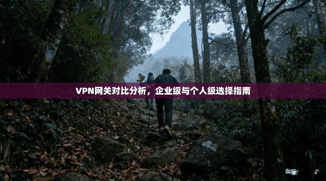VPN网关对比分析，企业级与个人级选择指南