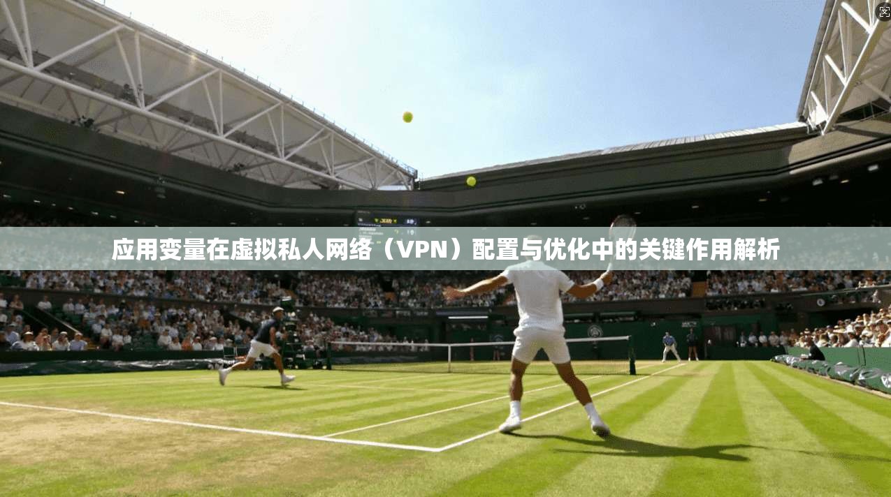 应用变量在虚拟私人网络（VPN）配置与优化中的关键作用解析
