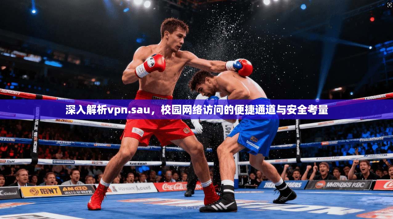 深入解析vpn.sau，校园网络访问的便捷通道与安全考量
