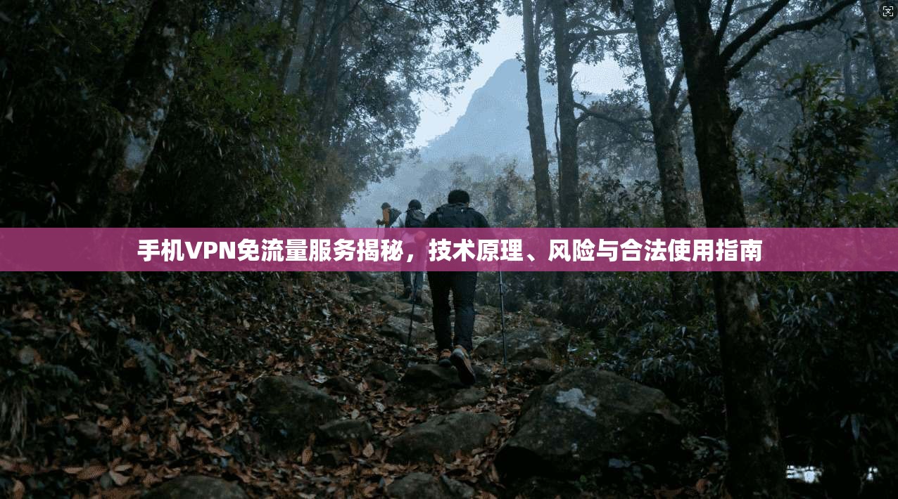 手机VPN免流量服务揭秘，技术原理、风险与合法使用指南