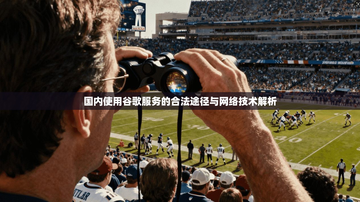 国内使用谷歌服务的合法途径与网络技术解析