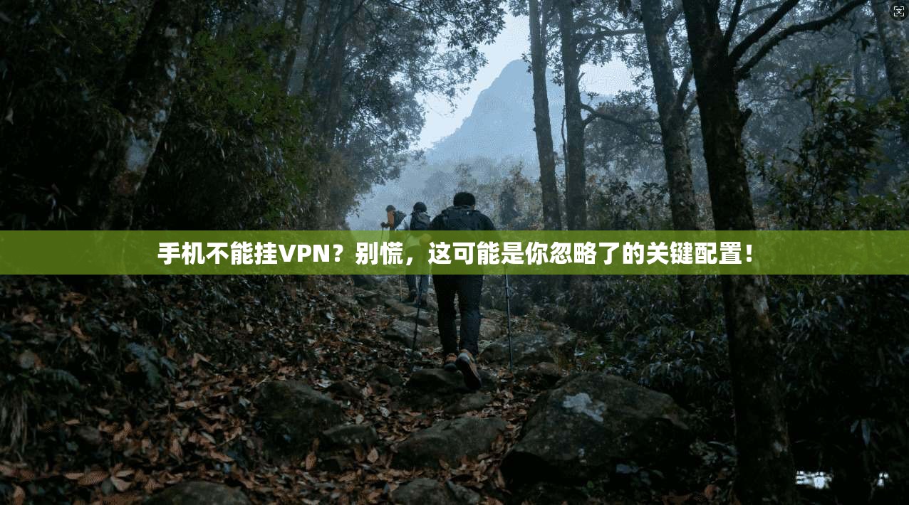 手机不能挂VPN？别慌，这可能是你忽略了的关键配置！