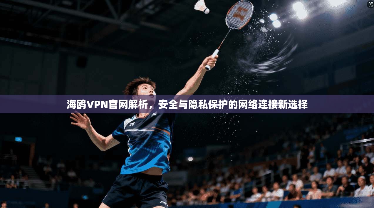 海鸥VPN官网解析，安全与隐私保护的网络连接新选择