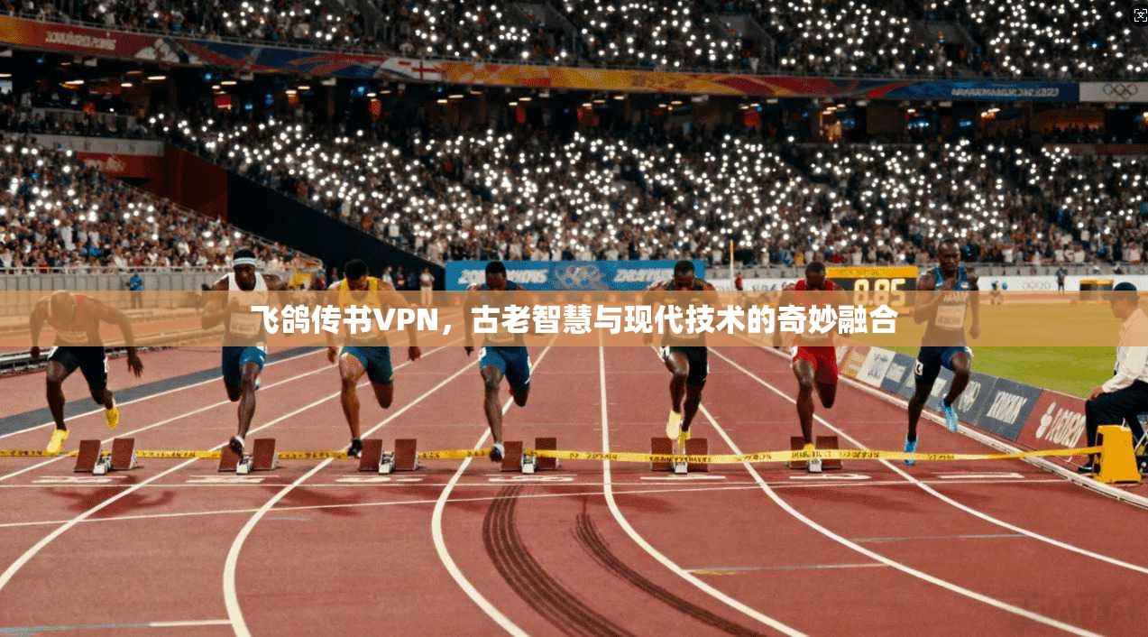 飞鸽传书VPN，古老智慧与现代技术的奇妙融合
