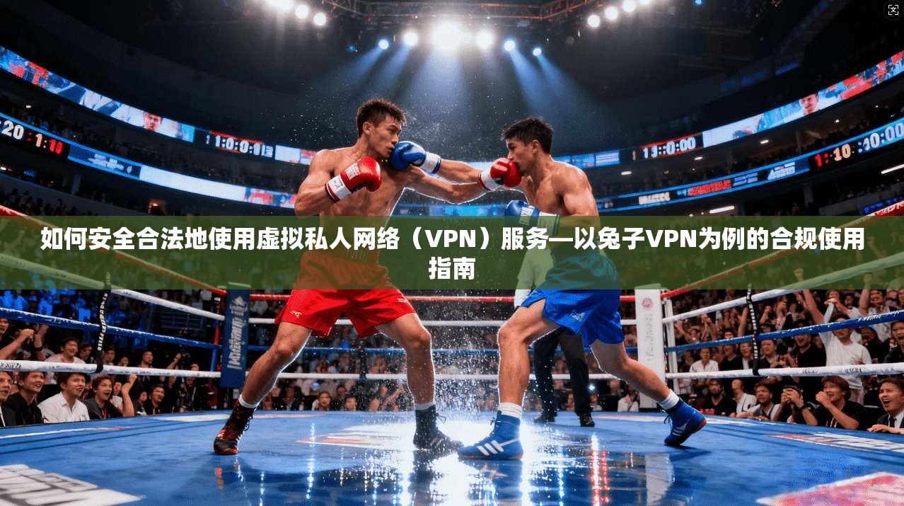 如何安全合法地使用虚拟私人网络（VPN）服务—以兔子VPN为例的合规使用指南