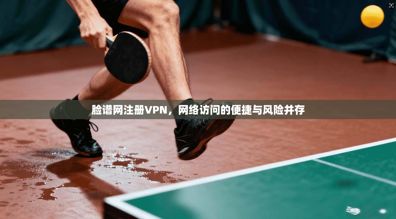 脸谱网注册VPN，网络访问的便捷与风险并存