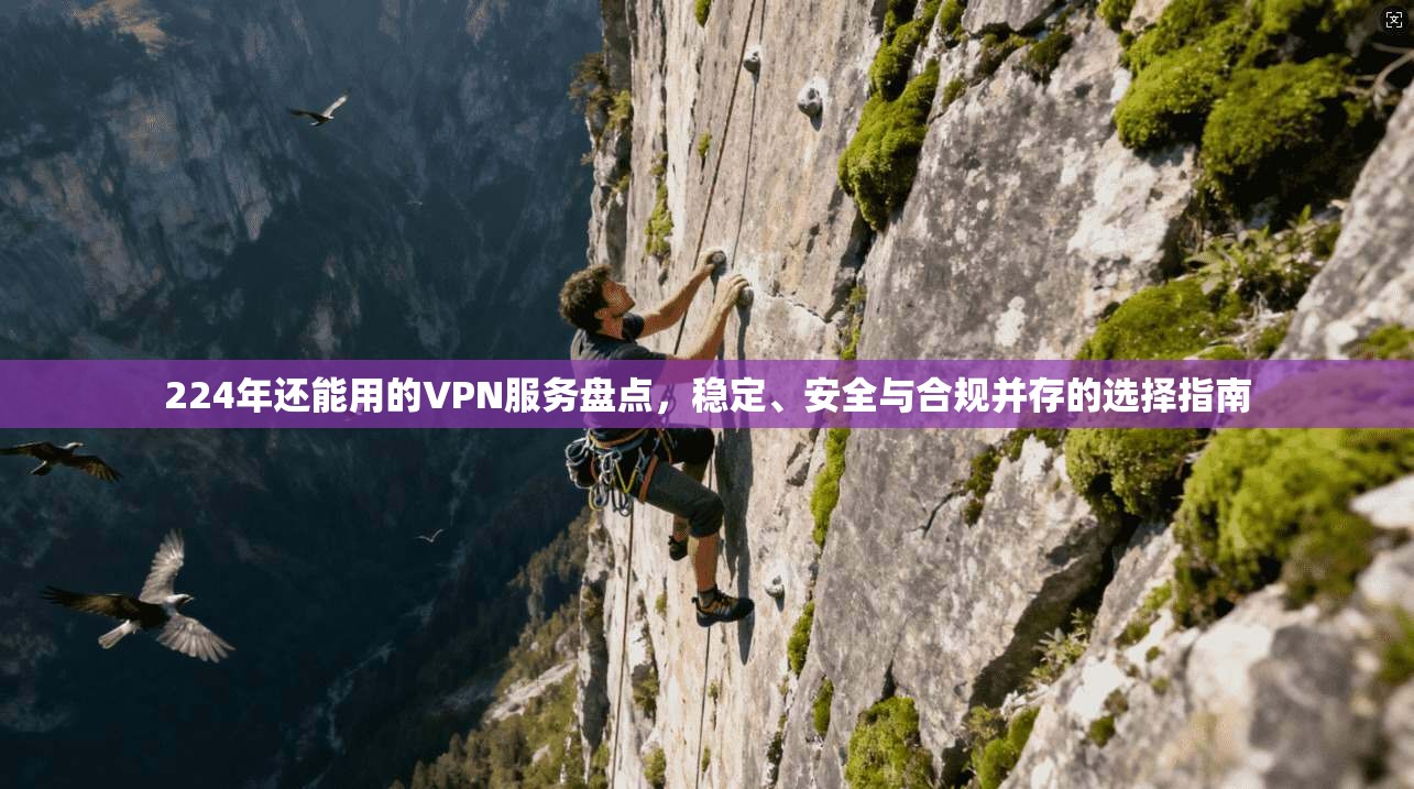 224年还能用的VPN服务盘点，稳定、安全与合规并存的选择指南