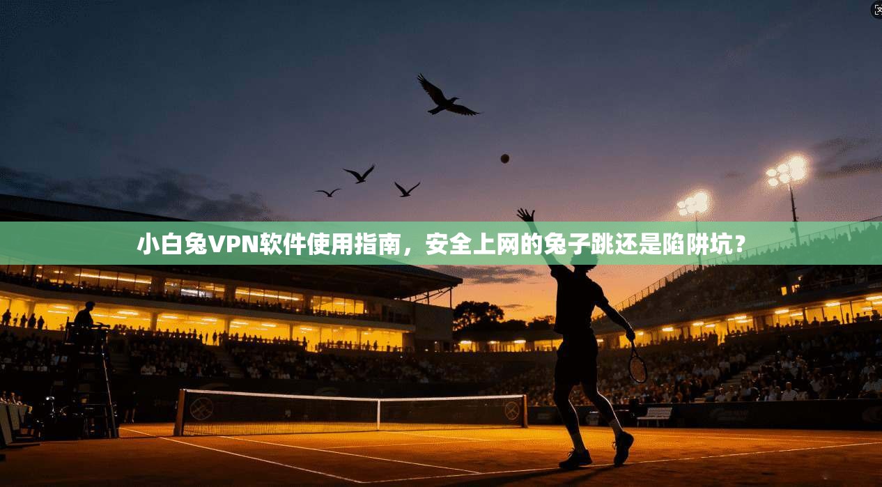 小白兔VPN软件使用指南，安全上网的兔子跳还是陷阱坑？