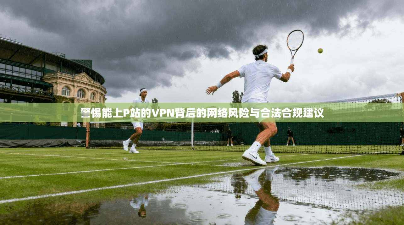 警惕能上P站的VPN背后的网络风险与合法合规建议