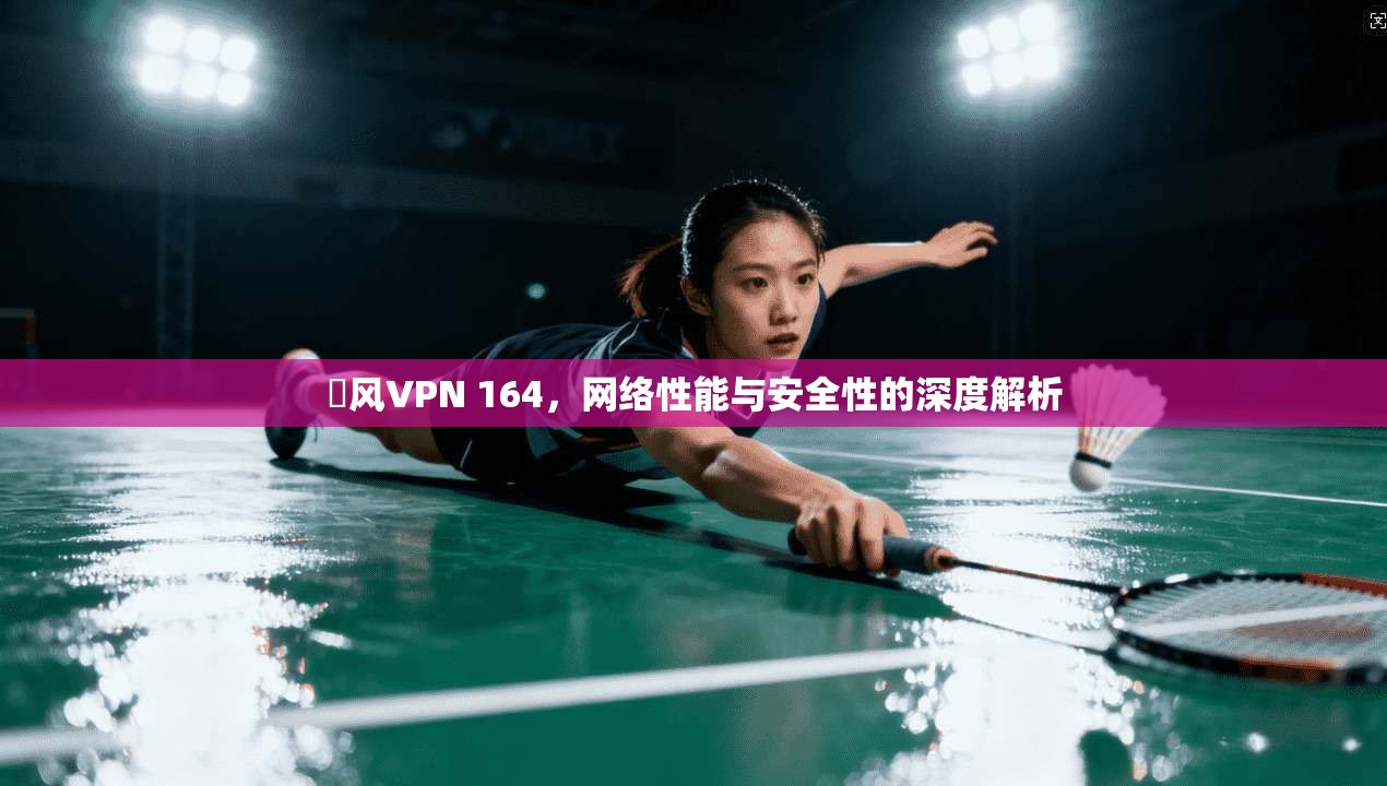 賽风VPN 164，网络性能与安全性的深度解析