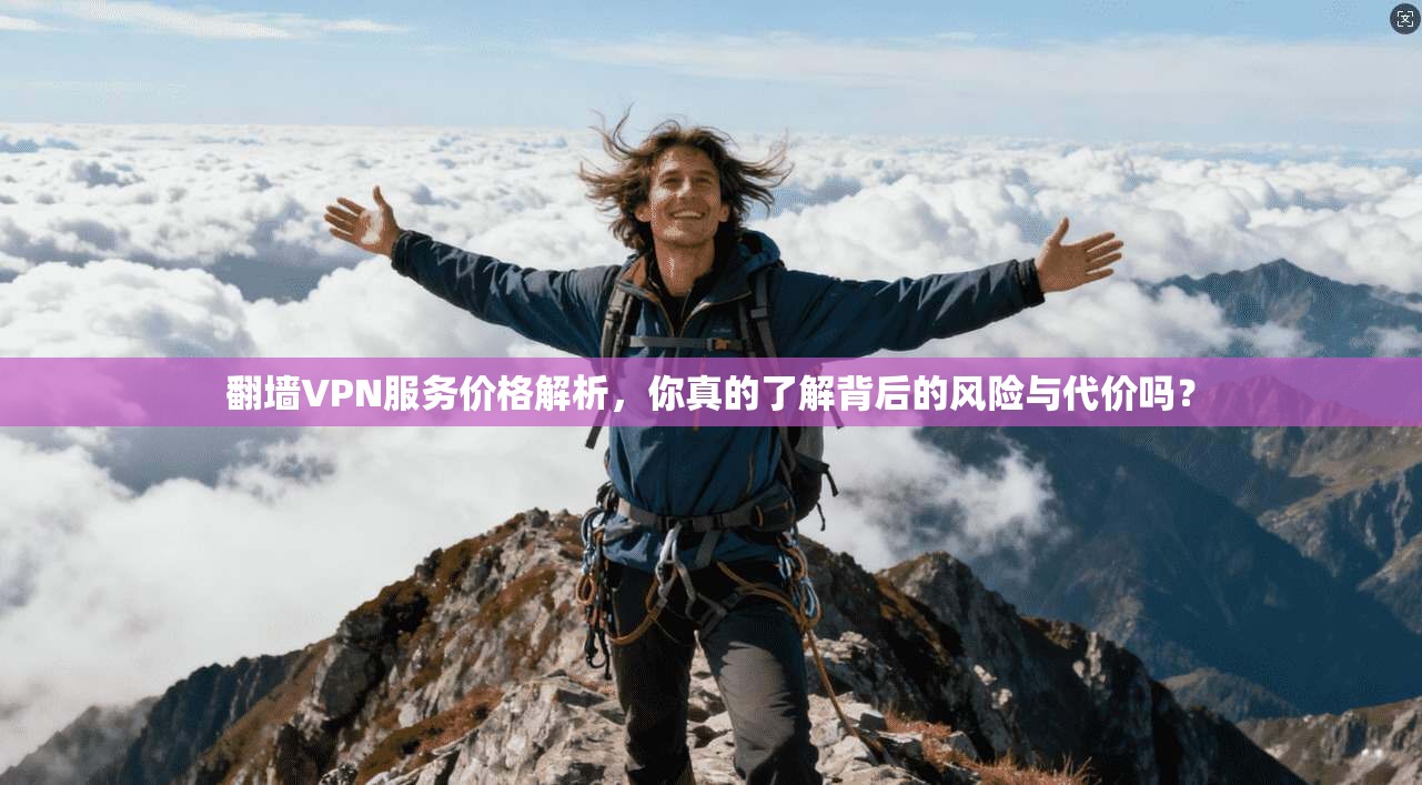 翻墙VPN服务价格解析，你真的了解背后的风险与代价吗？