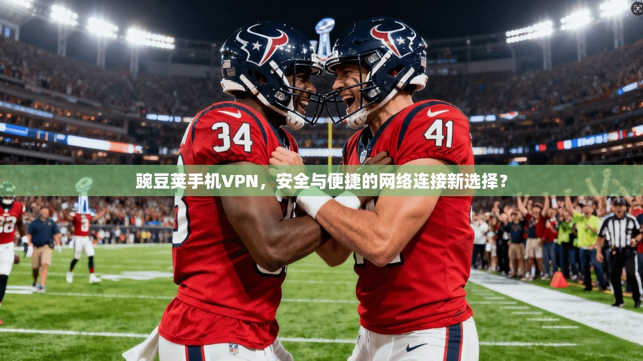 豌豆荚手机VPN，安全与便捷的网络连接新选择？