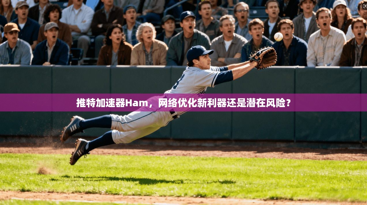 推特加速器Ham，网络优化新利器还是潜在风险？