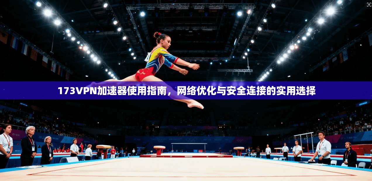 173VPN加速器使用指南，网络优化与安全连接的实用选择