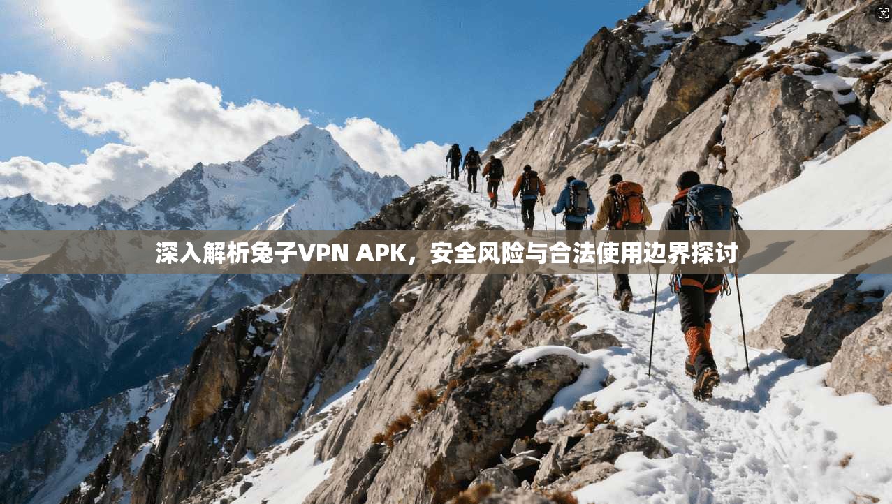 深入解析兔子VPN APK，安全风险与合法使用边界探讨