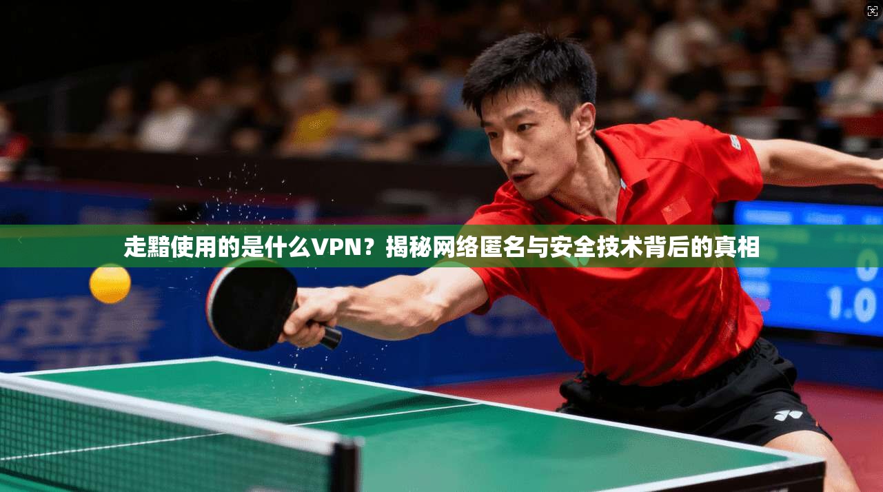 走黯使用的是什么VPN？揭秘网络匿名与安全技术背后的真相