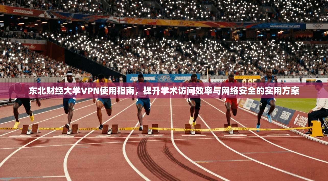 东北财经大学VPN使用指南，提升学术访问效率与网络安全的实用方案