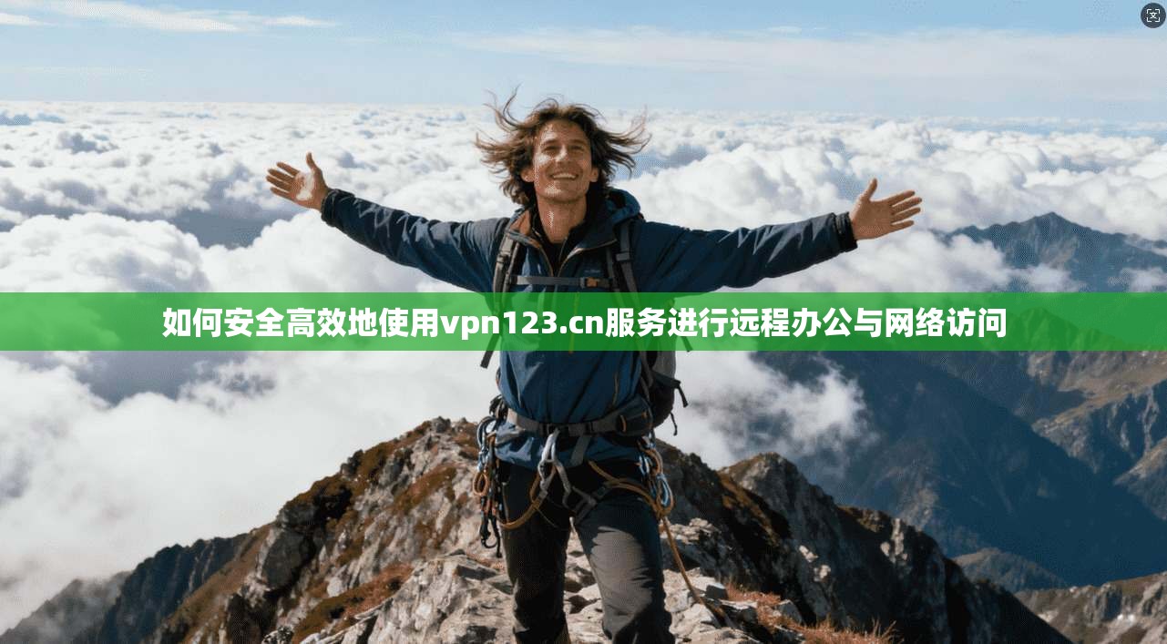 如何安全高效地使用vpn123.cn服务进行远程办公与网络访问
