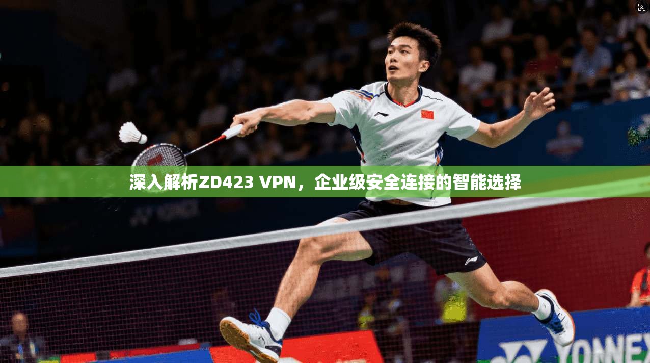 深入解析ZD423 VPN，企业级安全连接的智能选择