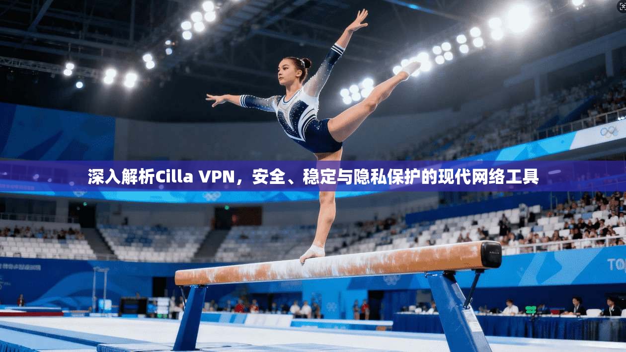 深入解析Cilla VPN，安全、稳定与隐私保护的现代网络工具