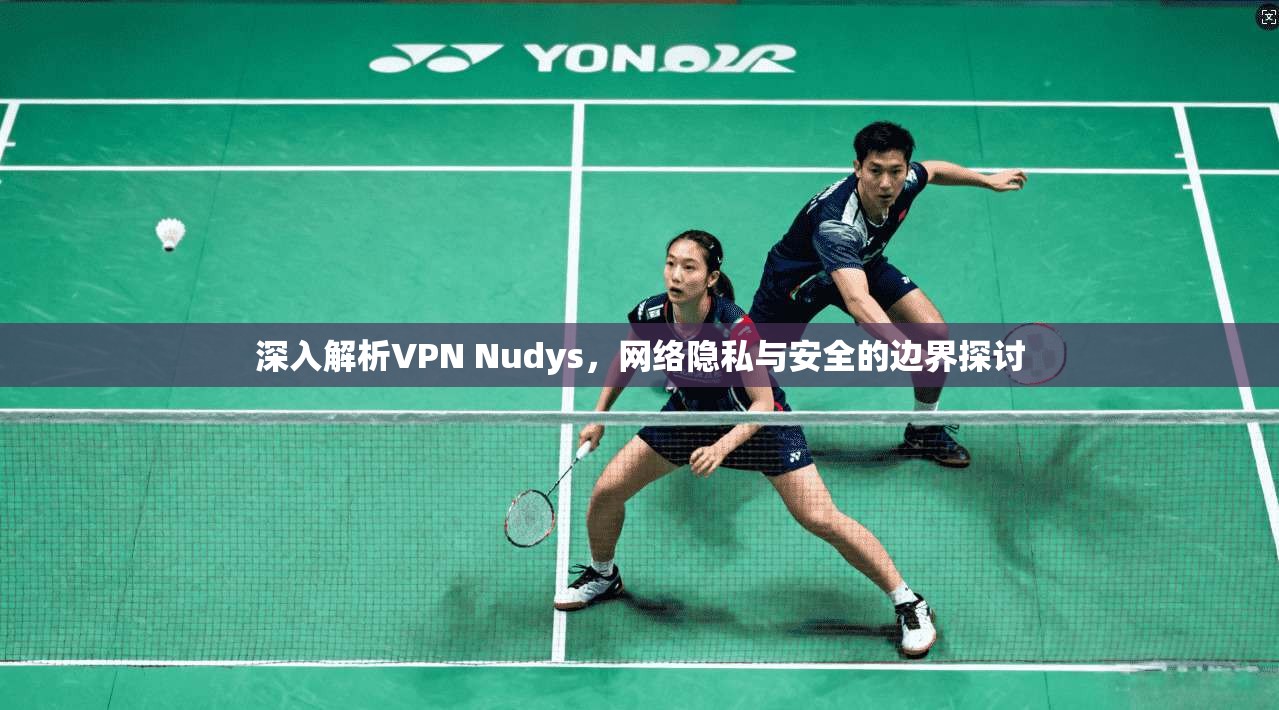 深入解析VPN Nudys，网络隐私与安全的边界探讨