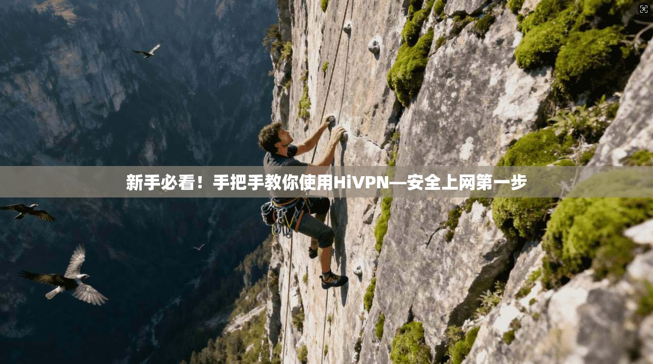 新手必看！手把手教你使用HiVPN—安全上网第一步