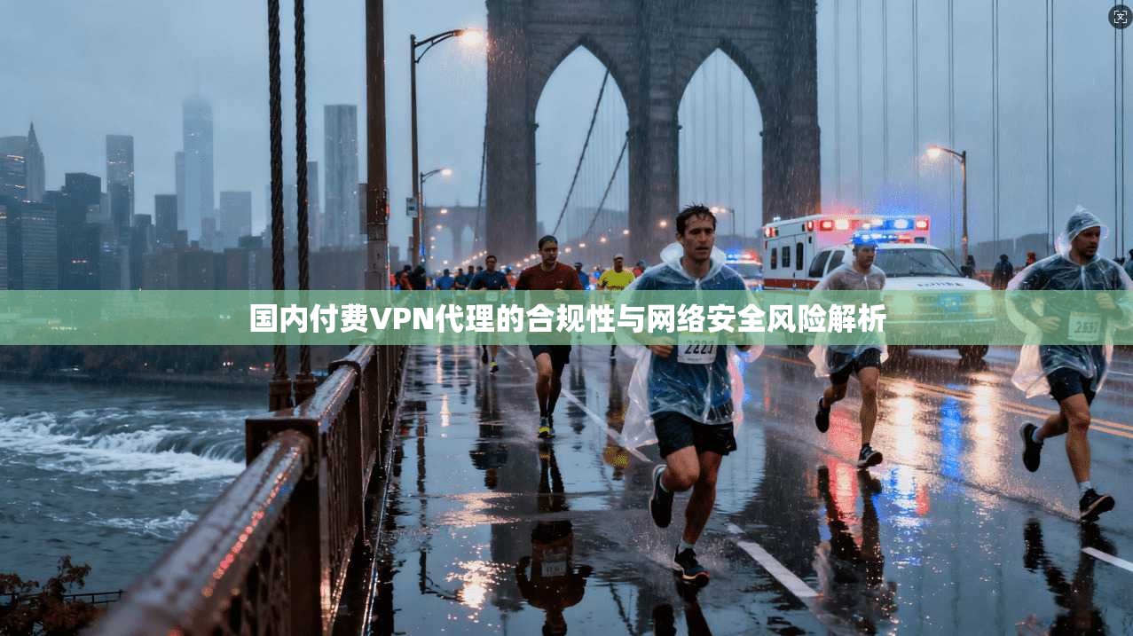 国内付费VPN代理的合规性与网络安全风险解析