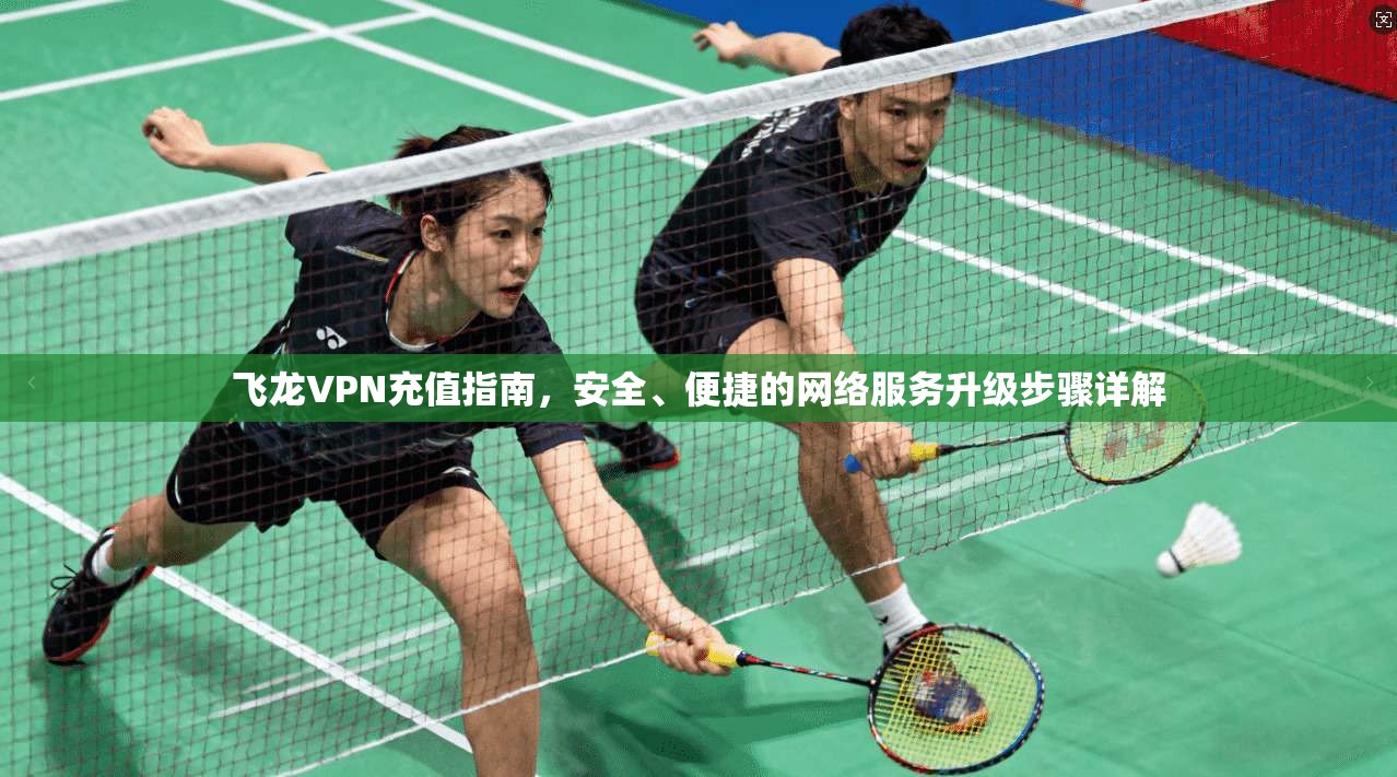 飞龙VPN充值指南，安全、便捷的网络服务升级步骤详解