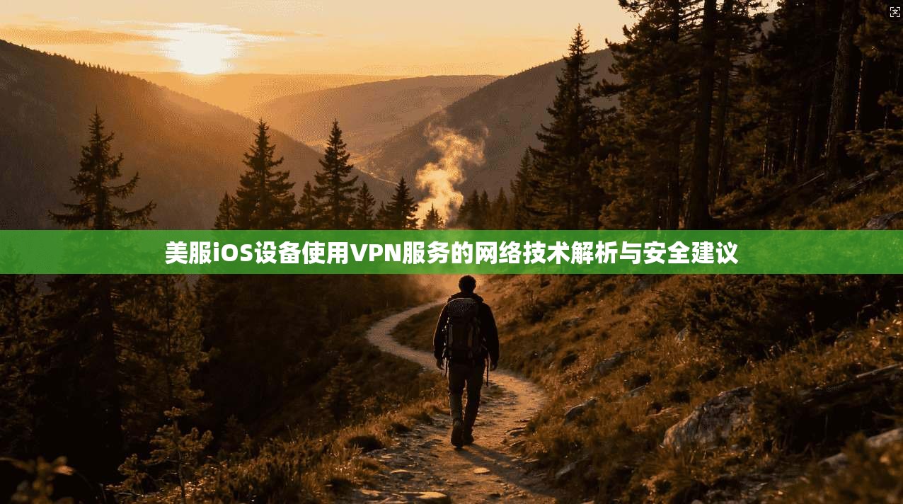 美服iOS设备使用VPN服务的网络技术解析与安全建议