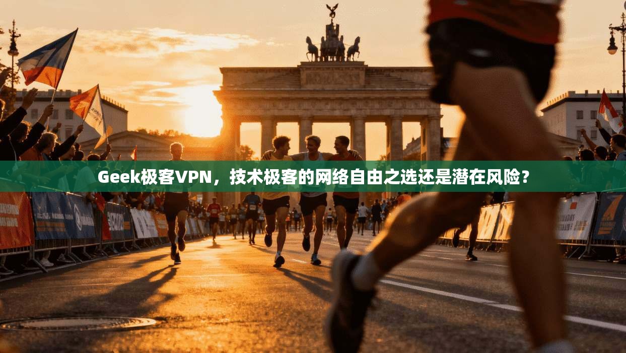 Geek极客VPN，技术极客的网络自由之选还是潜在风险？
