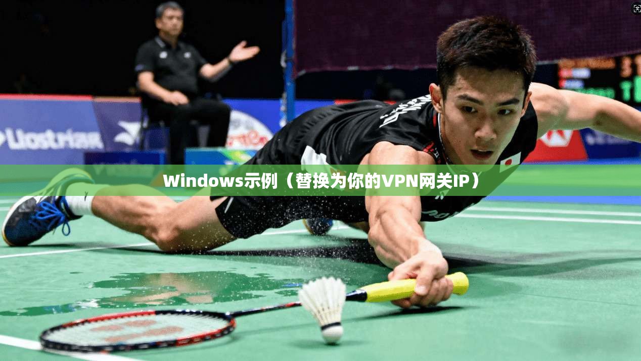 Windows示例（替换为你的VPN网关IP）