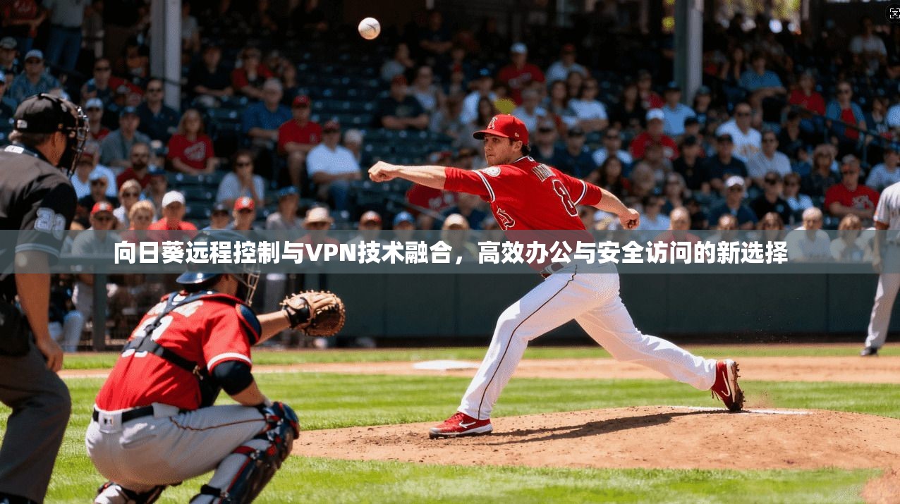 向日葵远程控制与VPN技术融合，高效办公与安全访问的新选择