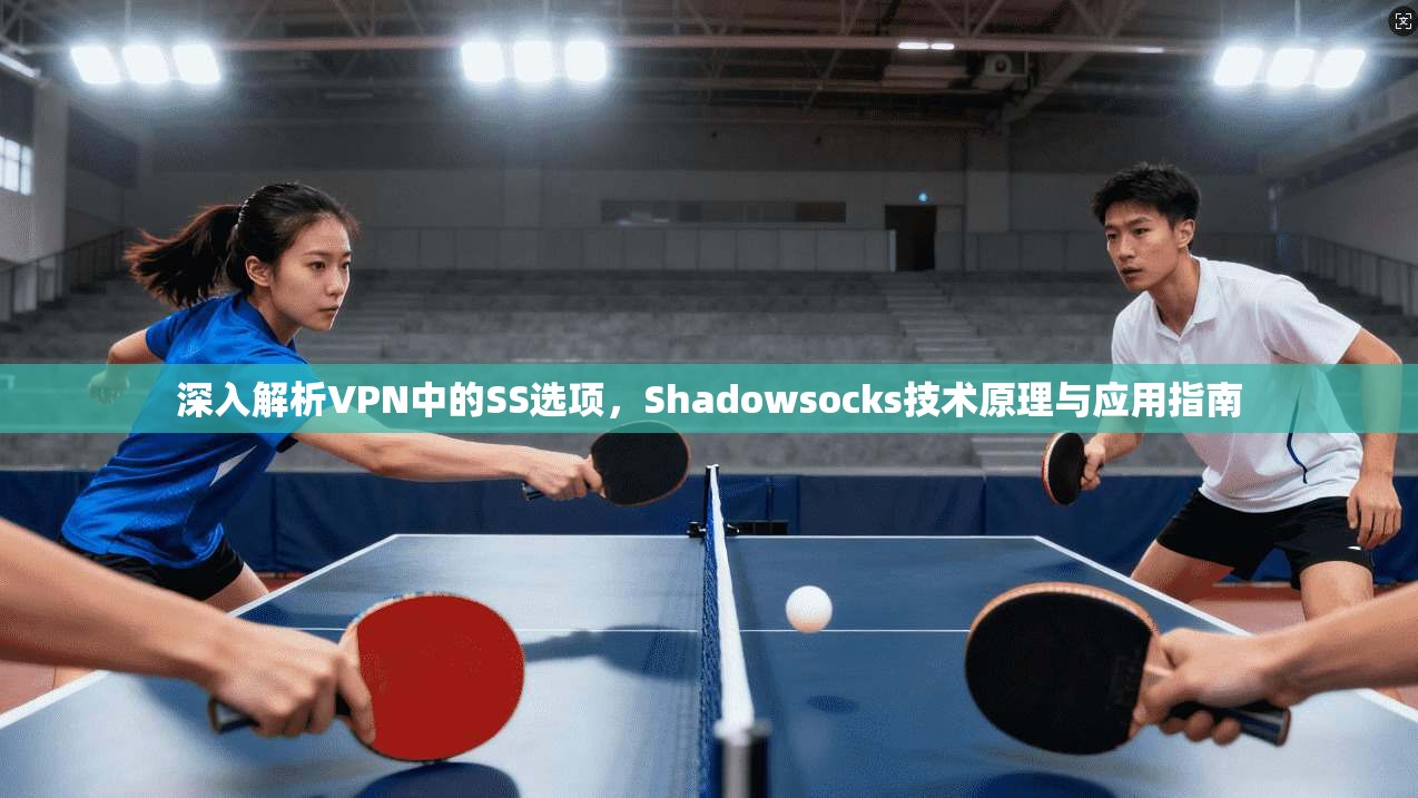 深入解析VPN中的SS选项，Shadowsocks技术原理与应用指南