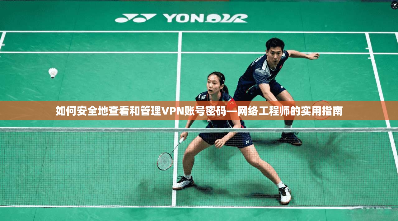 如何安全地查看和管理VPN账号密码—网络工程师的实用指南