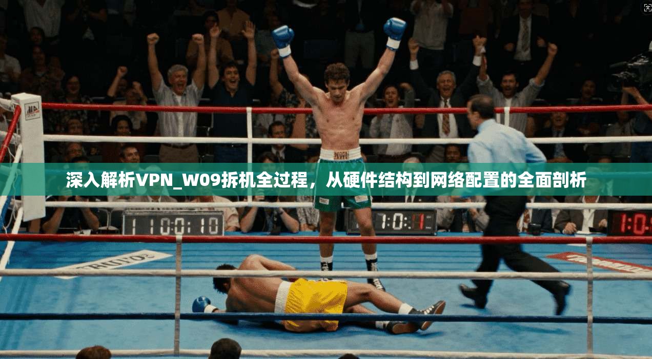 深入解析VPN_W09拆机全过程，从硬件结构到网络配置的全面剖析