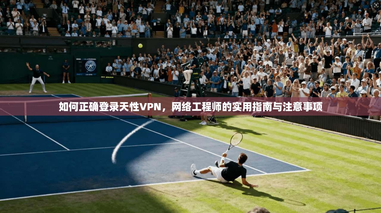 如何正确登录天性VPN，网络工程师的实用指南与注意事项