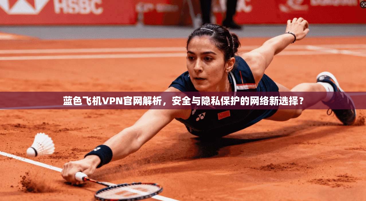 蓝色飞机VPN官网解析，安全与隐私保护的网络新选择？