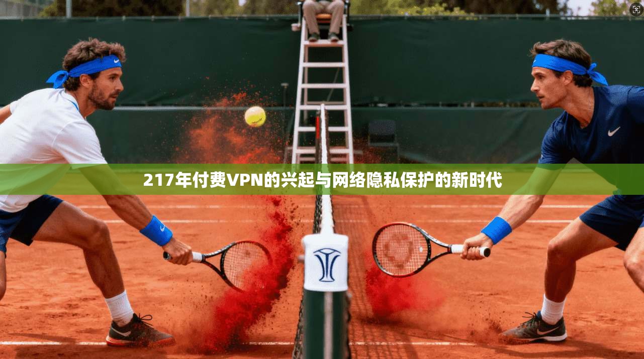 217年付费VPN的兴起与网络隐私保护的新时代